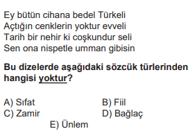Soru Görseli